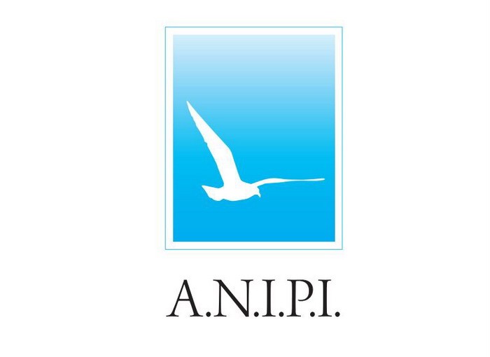 A.N.I.P.I Logo