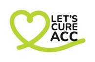 Lets Cure ACC Logo